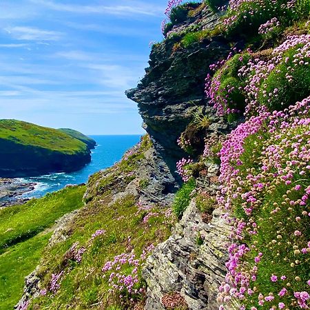 Polrunny Farm Blackberry Cottage - Cornwall Bliss In Sight Of The Sea Boscastle Εξωτερικό φωτογραφία