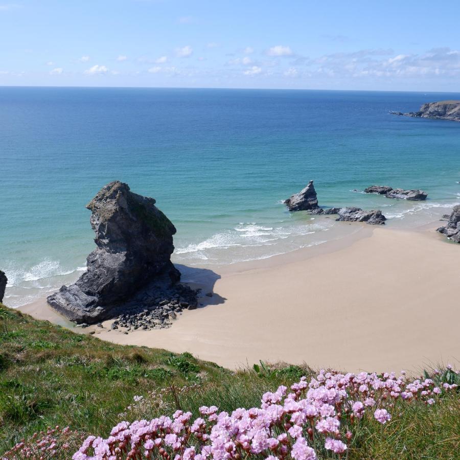 Polrunny Farm Blackberry Cottage - Cornwall Bliss In Sight Of The Sea Boscastle Εξωτερικό φωτογραφία
