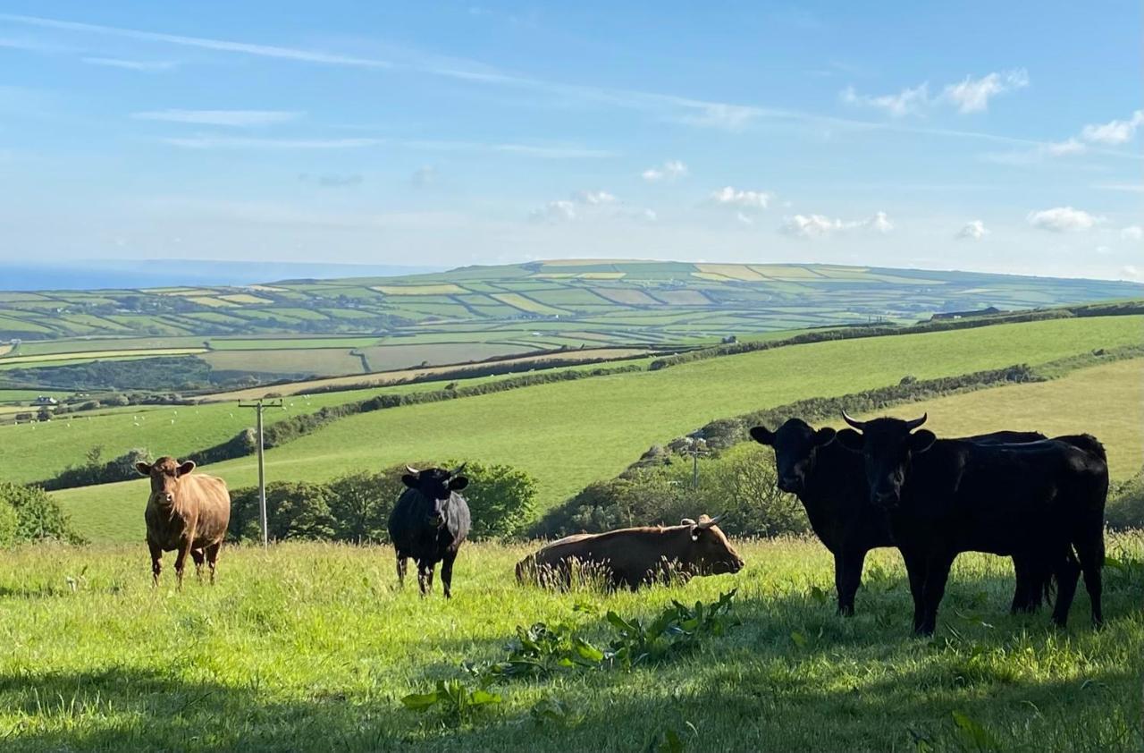Polrunny Farm Blackberry Cottage - Cornwall Bliss In Sight Of The Sea Boscastle Εξωτερικό φωτογραφία
