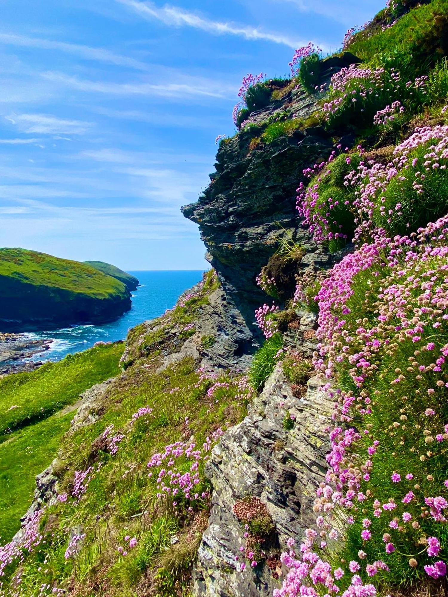 Polrunny Farm Blackberry Cottage - Cornwall Bliss In Sight Of The Sea Boscastle Εξωτερικό φωτογραφία